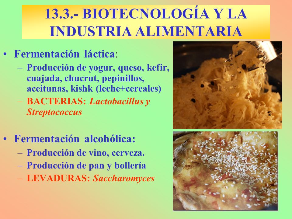 Industria Alimentaria